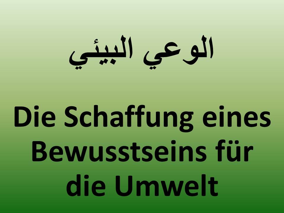 Die Schaffung eines Bewusstseins für die Umwelt